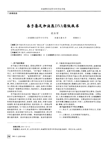 dna亲子鉴定模板
