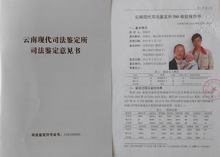 dna亲子鉴定模板
