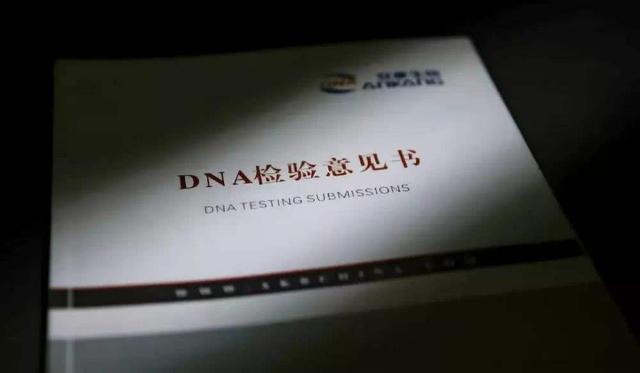dna亲子鉴定哪里好