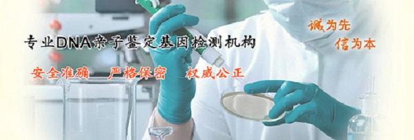 dna的亲子鉴定