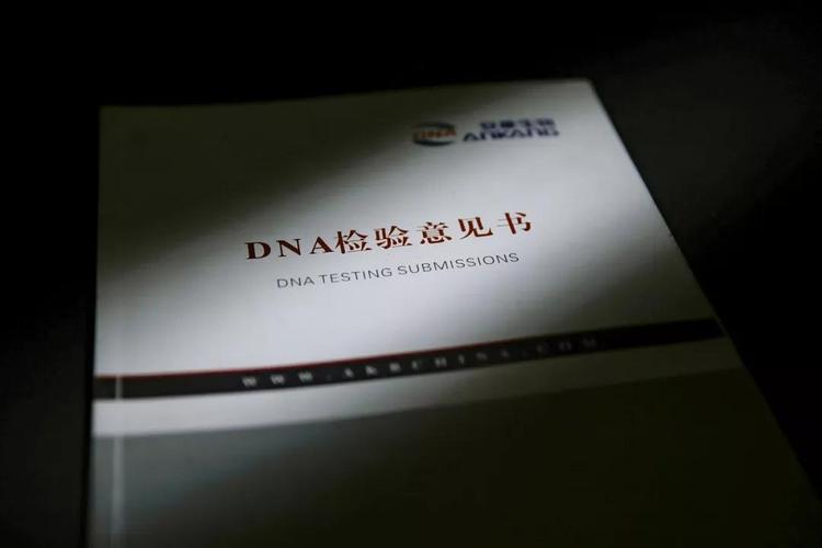 dna的亲子鉴定