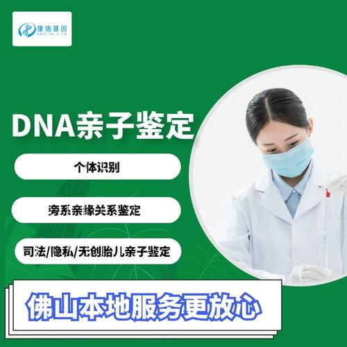 dna亲子鉴定挂什么科