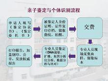 dna亲子鉴定程序