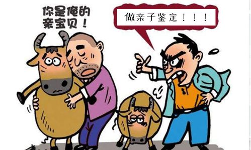 dna亲子鉴定师遇到的奇葩事