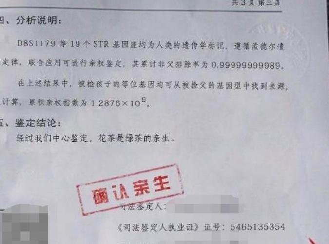 dna亲子关系鉴定