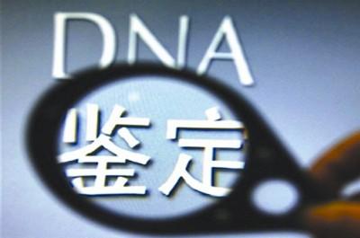 dna亲子鉴定需要多少