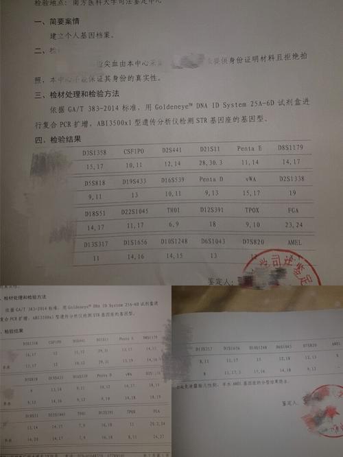 dna亲子鉴定要几根头发