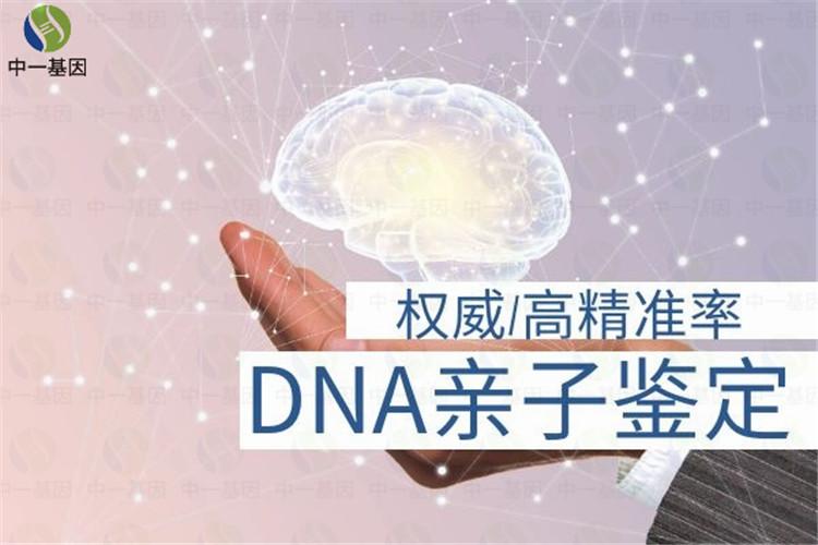 dna亲子鉴定多少钱价钱
