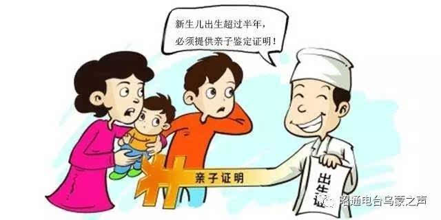 dna亲子鉴定和母亲可以吗