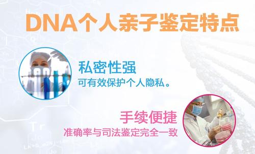 dna亲子鉴定需要什么东西