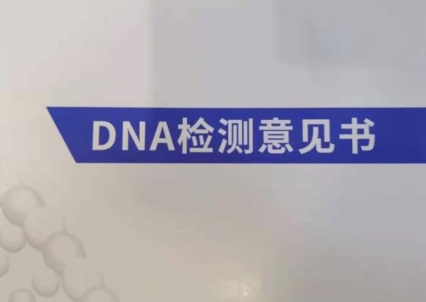 dna亲子鉴定需要什么东西