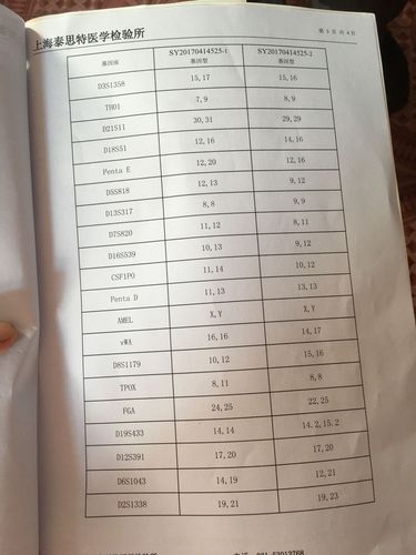 20位点亲子鉴定