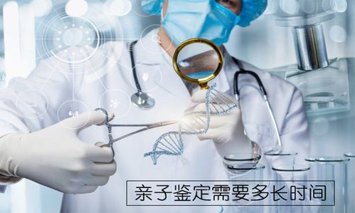 20位点亲子鉴定