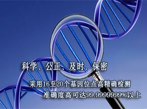 20位点亲子鉴定