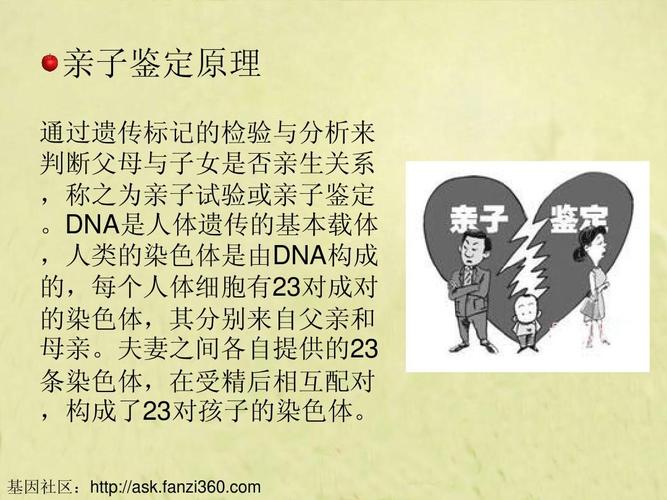 dna亲子鉴定的方法