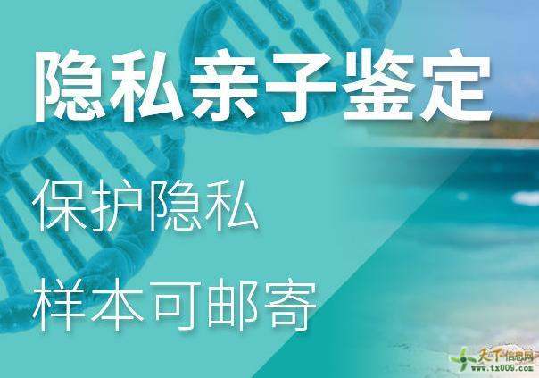 dna亲子鉴定的费用