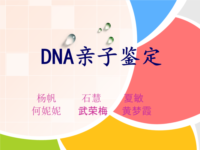 dna亲子鉴定的费用
