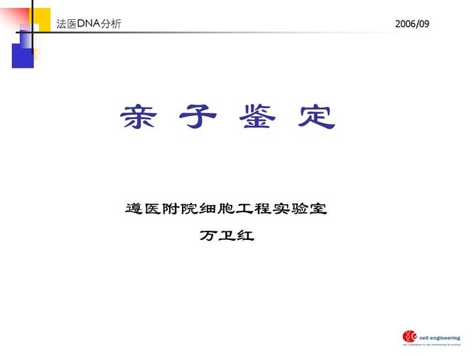 dna亲子鉴定过程