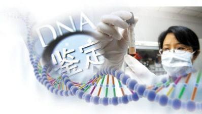 dna亲子鉴定过程