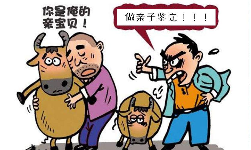 11岁以上亲子鉴定