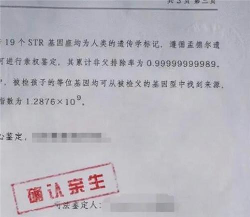 dna鉴定是看亲子鉴定